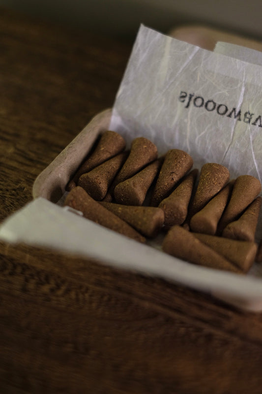 塔香 松森 / pine